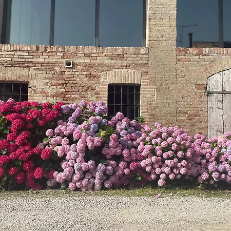 Il Conte Giacomo Bed & Breakfast Viarolo