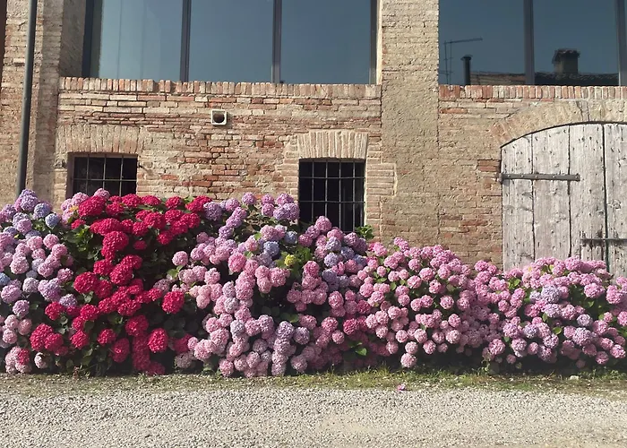 Il Conte Giacomo Bed & Breakfast Viarolo