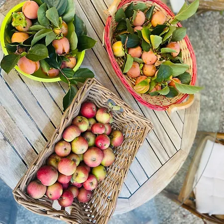 לינה וארוחת בוקר Il Conte Giacomo Viarolo