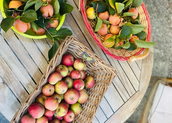 ベッド・アンド・ブレックファスト Il Conte Giacomo Viarolo