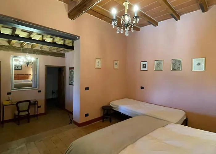 Il Conte Giacomo Viarolo